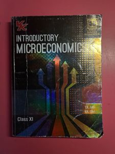 Introductory Microeconomics Class 11