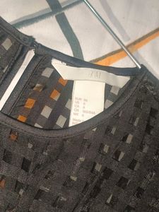 H&amp;M Dragon Fly Beaded Organza Top