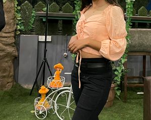 Peach Crop Top
