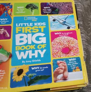 Little Kids First Big Book of Why