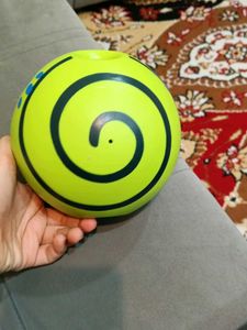 dog ball with sound video check
