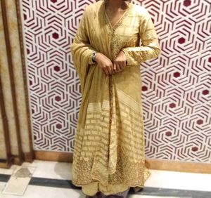 Elegant Centre Cut Mastani Dress