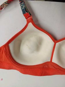 Triumph Triaction Hybrid Lite Padded Wireless High