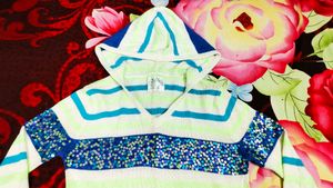 Sweat Shirt With Hoodie