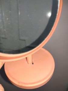 Bunny Mirror