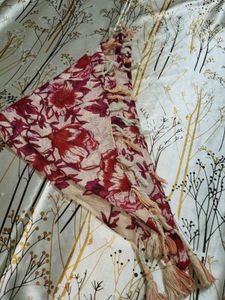 Beautiful Stole For Women 🎨