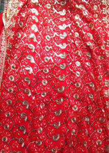 Women  Gold Embroided Suit