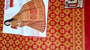 Elegant Fancy Saree