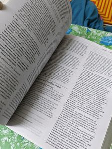 UPSC Haralambos And Holborn Sociology 8th Edition