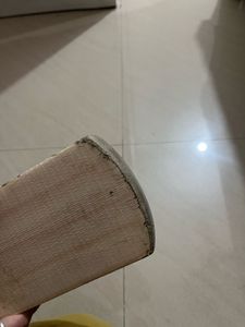 TON Cricket Bat