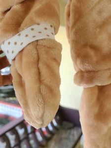 Cozy Puppy Plush Baby Outfit