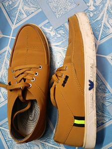 Casual Tan Shoes