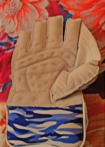 SS Wicketkeeper Gloves