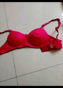 New Combo 4 Padded Bra