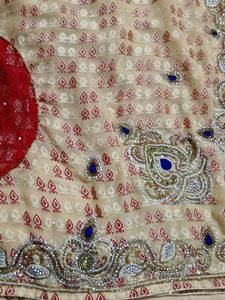 Elegant Embellished Sari