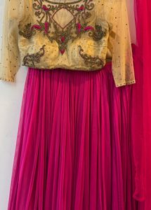 Pink Embellished Lehenga Choli
