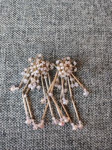 Earings