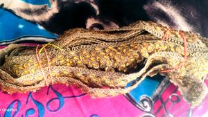 Lace And Moti For Saree Suit Border