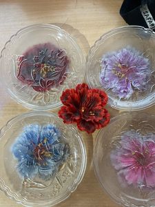 Glass Plates🥰