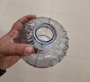 Glass Flower Vase