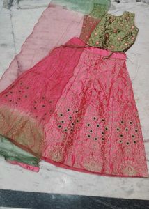 Pink Embroidered Lehenga Choli Set