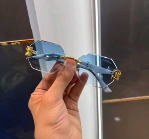 Cartier Sunglasses Honey Singh Edition