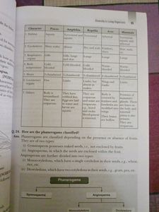 XAM IDEA of SCIENCE ( CCE pattern With Value Based Questions
