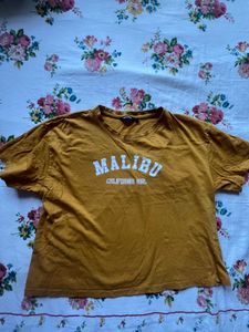 Zudio Mustard Color Crop Top
