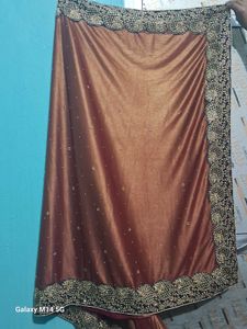 Elegant Embellished Saree