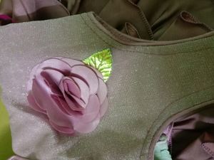 Baby Girl Gown