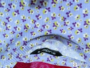 Zudio Cute Crop Top