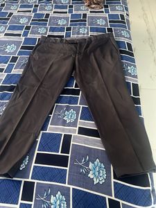 Pant For Men