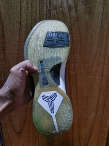 Kobe 5 Protro