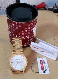 Titan Analog Watch Gold Case