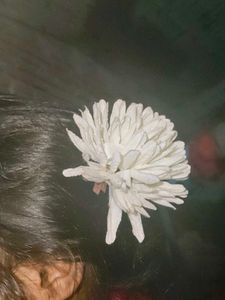 Pearl Hair Accessory