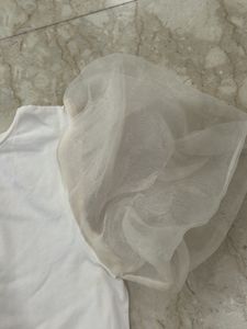 Zara Organza Sleeves Top