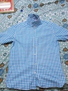 Blue Checked Casual Shirt