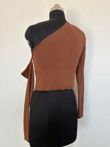 Zara Brown Top