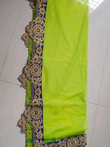 Green Embellished Lehenga Choli