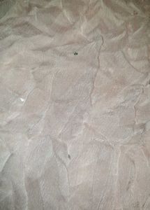 Baby Pink Pretty Dupatta