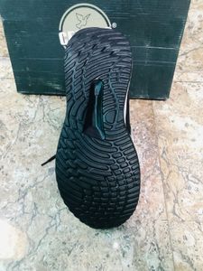 Fashion Sport Sneakers