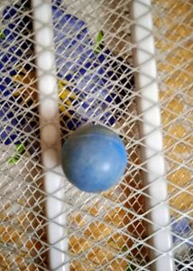 Small Ball