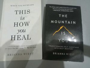 This Is How You Heal By Brianna Biest
