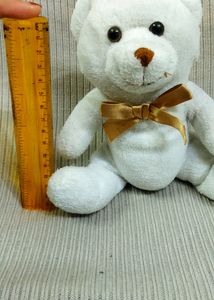 Very Cute White Bear