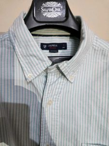 Striped Button-Down Shirt