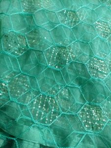 Net Dupatta