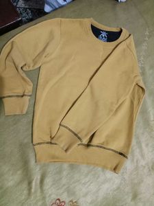 Winter Sweatshirt