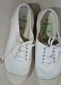 Venus Jockey Canvas Shoes - Size 8