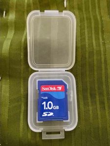 SanDisk 1GB SD Card