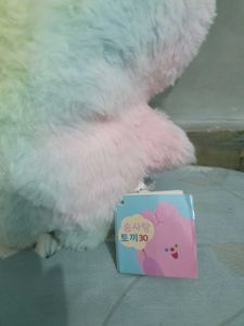Cute Plush Toy